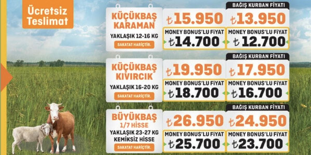Markerlerde Kurbanlık Fiyatları Ne Kadar 2