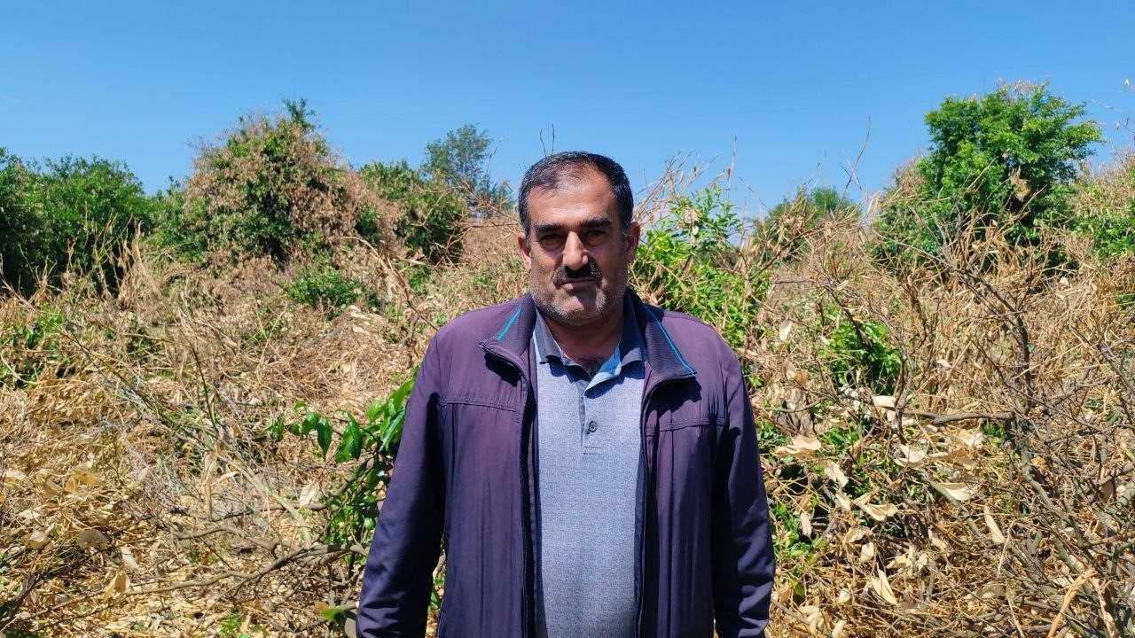 Hatay’da Don Felaketine Rağmen Umut Yeşeriyor 3