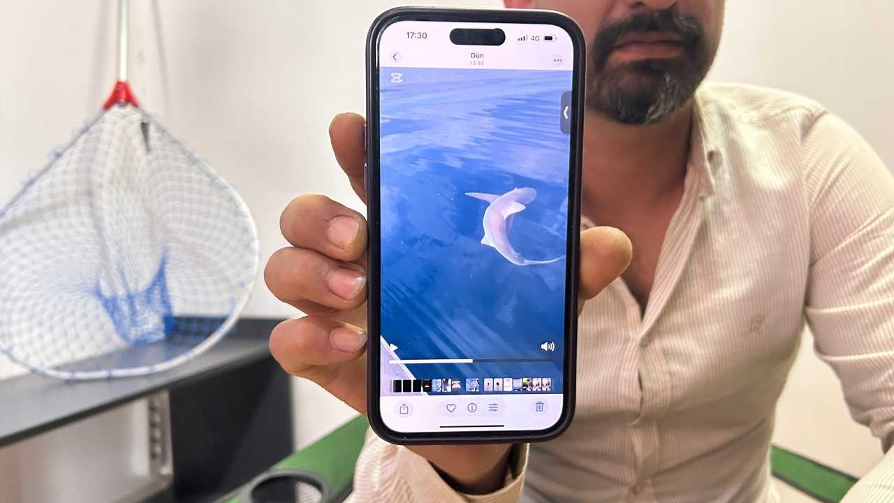 Hatay’da Köpek Balığıyla Oynayıp Geri Saldılar2