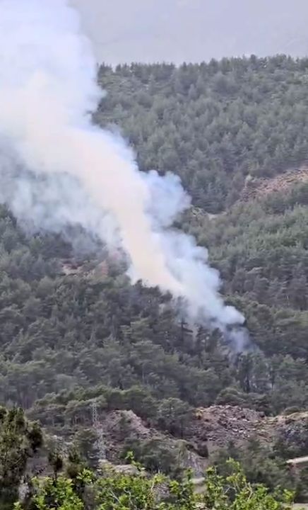 Kumluca'da Orman Yangını Çıktı! Ekipler Bölgede 2