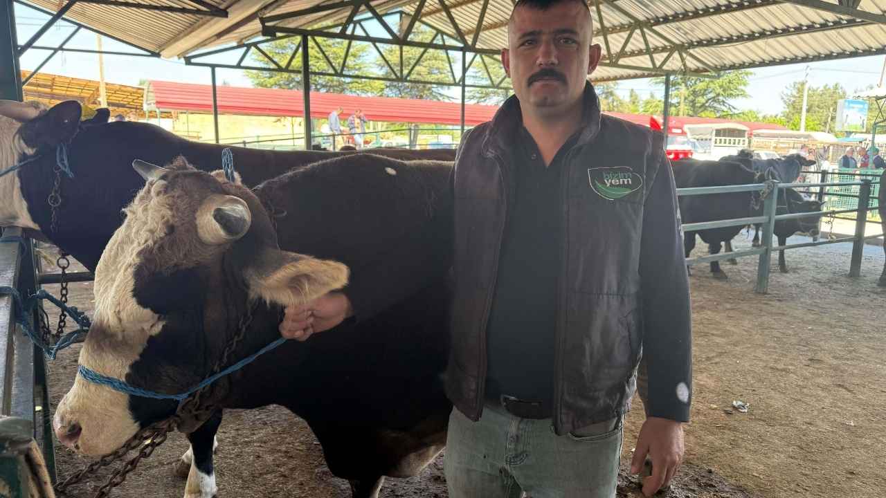 Kurban Pazarları Hareketlendi Isparta'da 2025 Kurban Fiyatları Ne Kadar 3