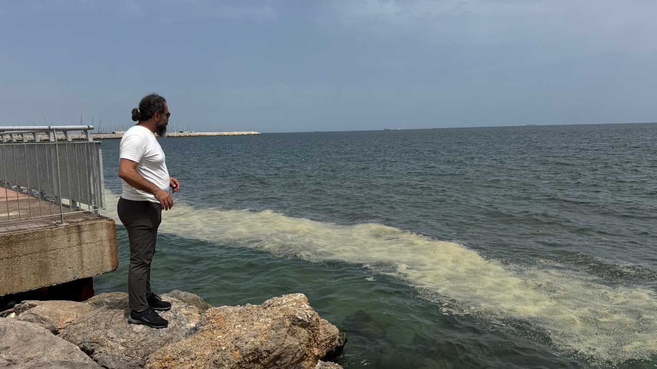 Mersin Körfezi’nde Ekolojik Çöküş Sinyali 3