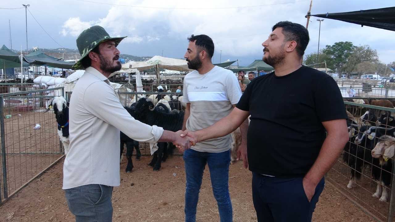 Mersin Kurban Pazarında Bayram Hazırlığı 2