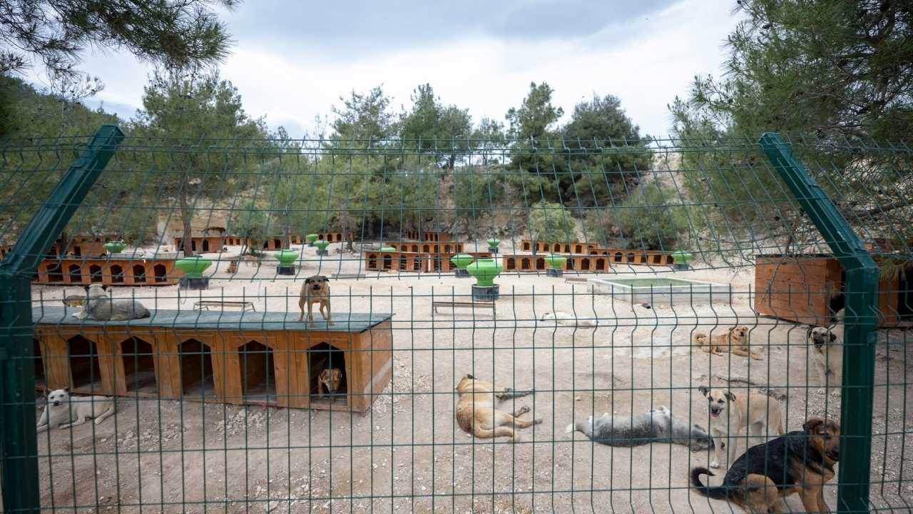 Mersin’de Doğayla İç İçe Bir Yuva2