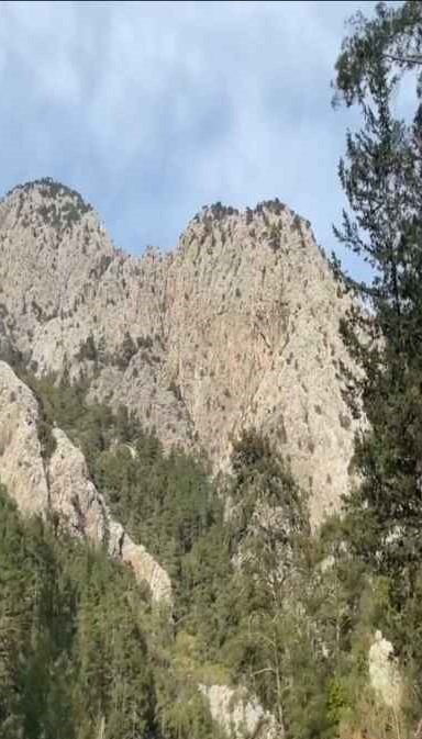 Milli Parklar'dan Kemer Orkidesi İçin Çağrı 4