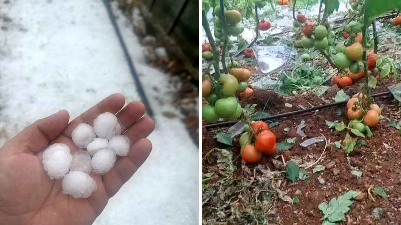 Serik'te Seraları Ceviz Büyüklüğünde Dolu Vurdu! Zarar Büyük 2