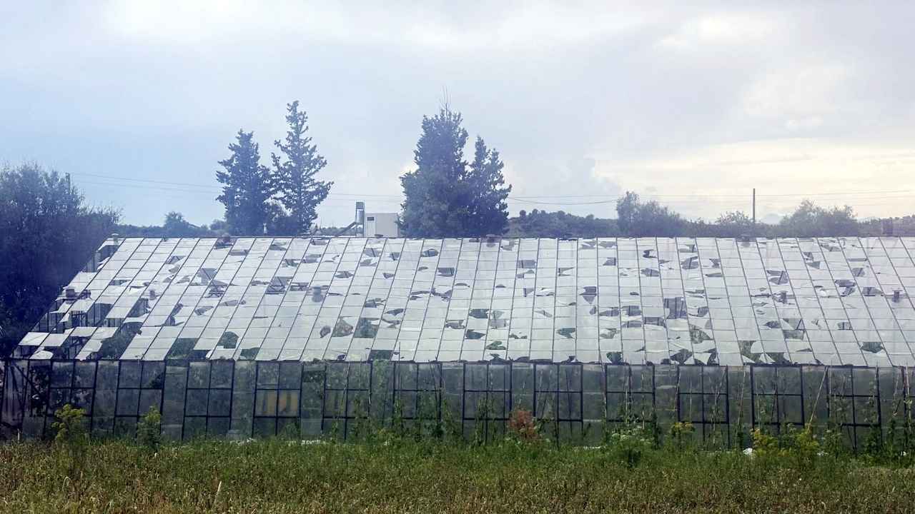 Serik'te Seraları Ceviz Büyüklüğünde Dolu Vurdu! Zarar Büyük 3