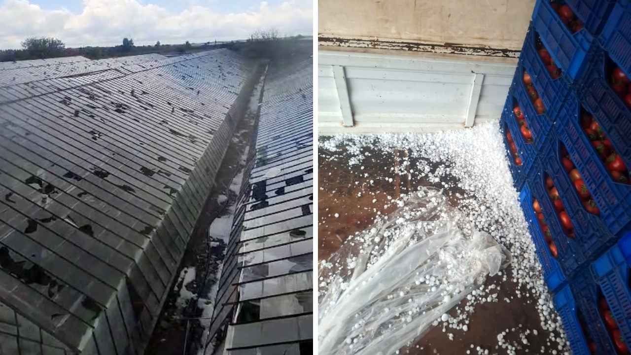 Serik'te Seraları Ceviz Büyüklüğünde Dolu Vurdu! Zarar Büyük 4