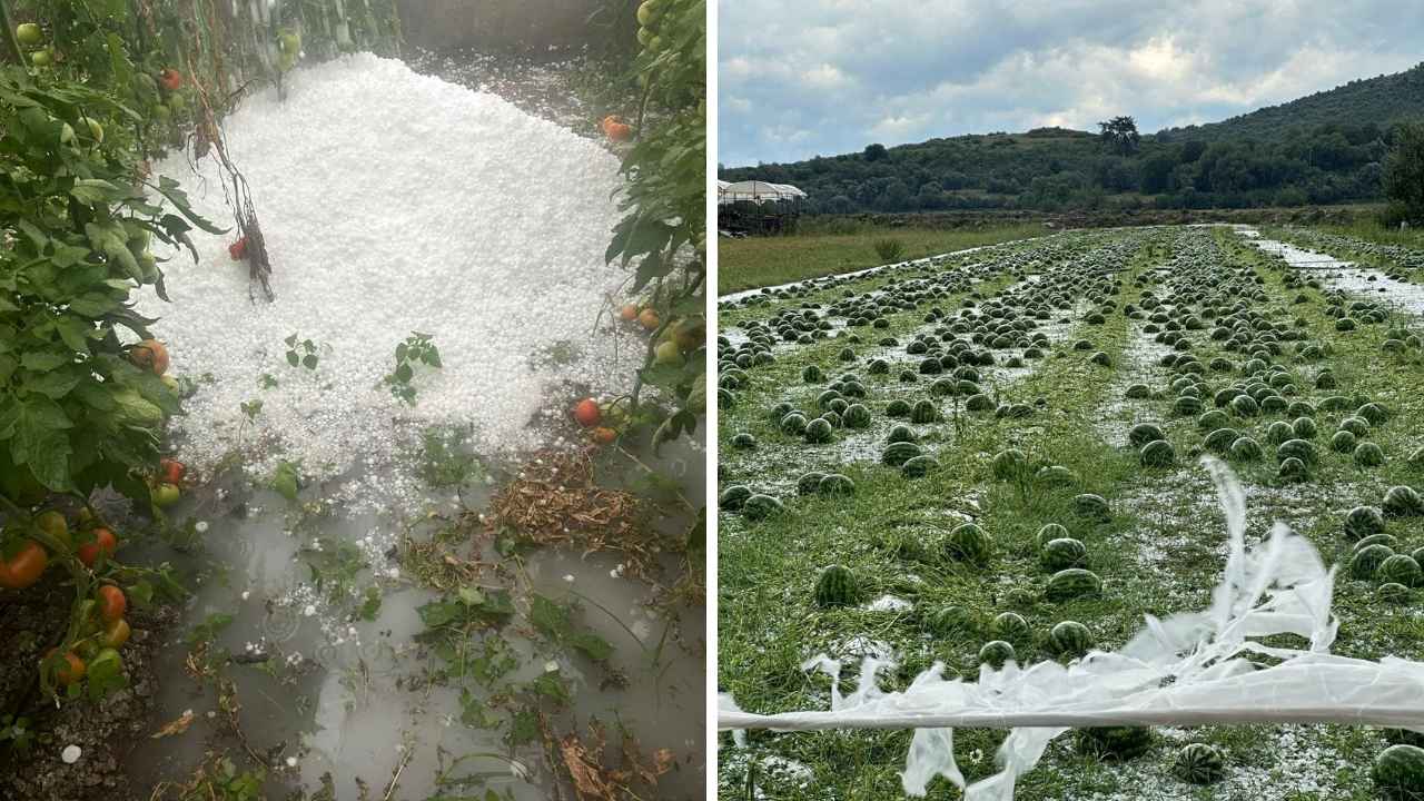 Serik'te Seraları Ceviz Büyüklüğünde Dolu Vurdu! Zarar Büyük 5