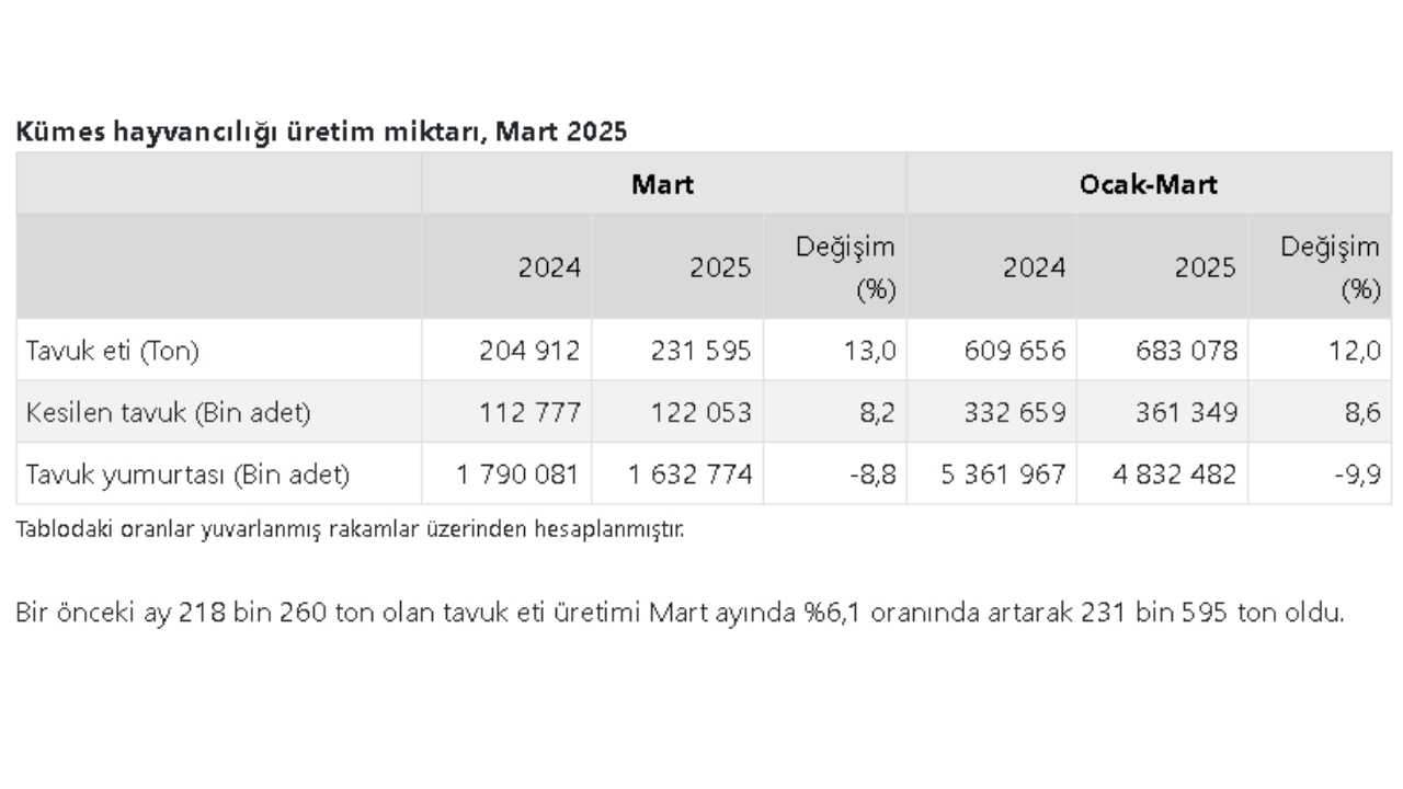 Yumurta Üretiminde Kritik Düşüş22222