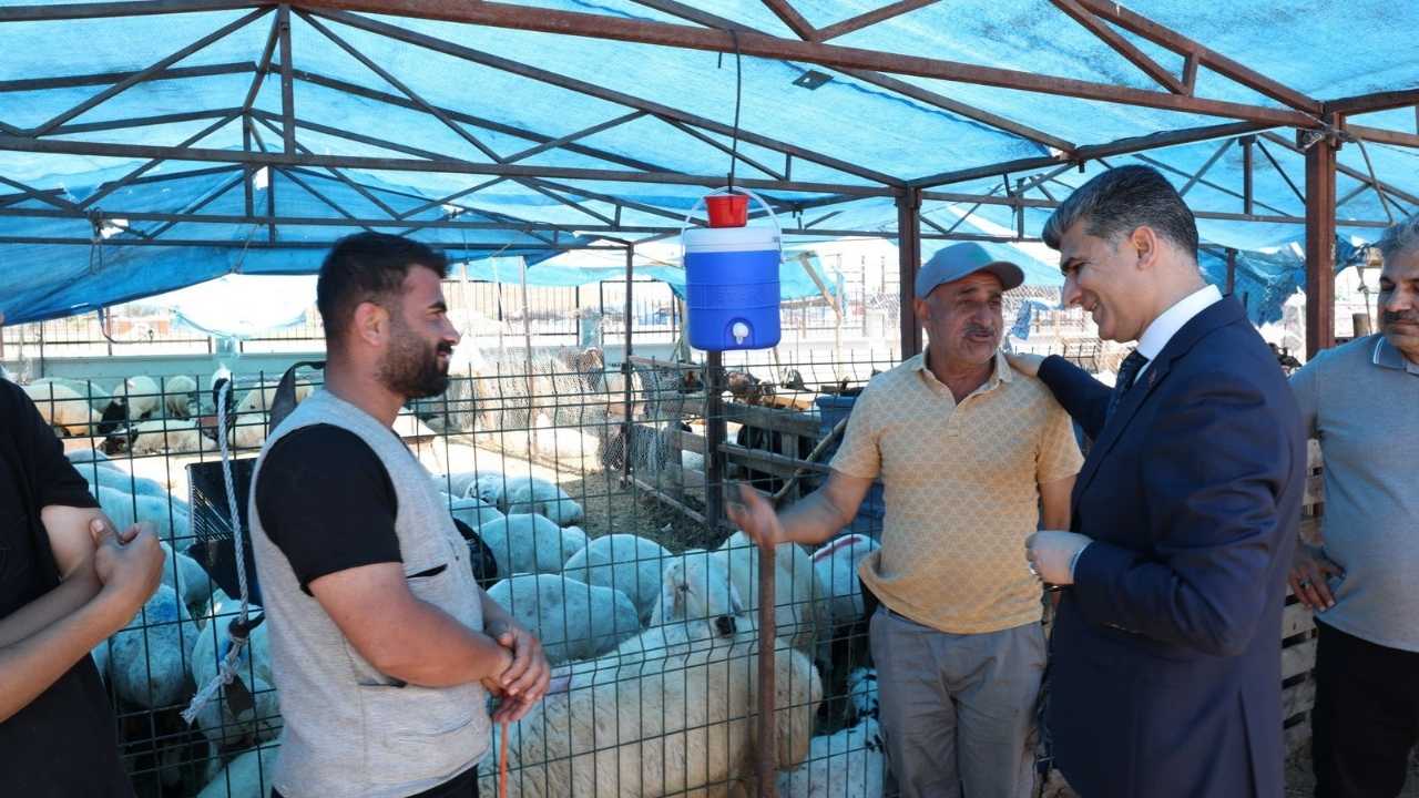 Akdeniz'de Kurban Bayramı Hazırlıkları Tamamlandı 2