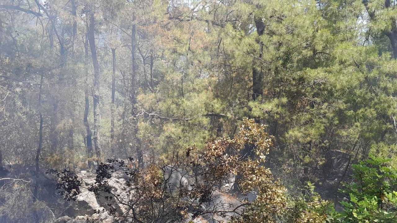 Antalya Kemer Milli Park Sahasında Orman Yangını Kontrol Altına Alındı 3