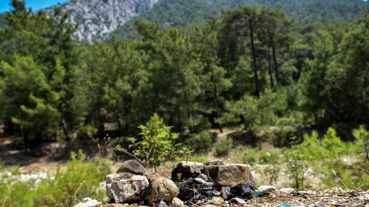 Antalya Ormanları Tehlikede! Gökdere'de Ateş Yakıp Cam Şişe Attılar  3