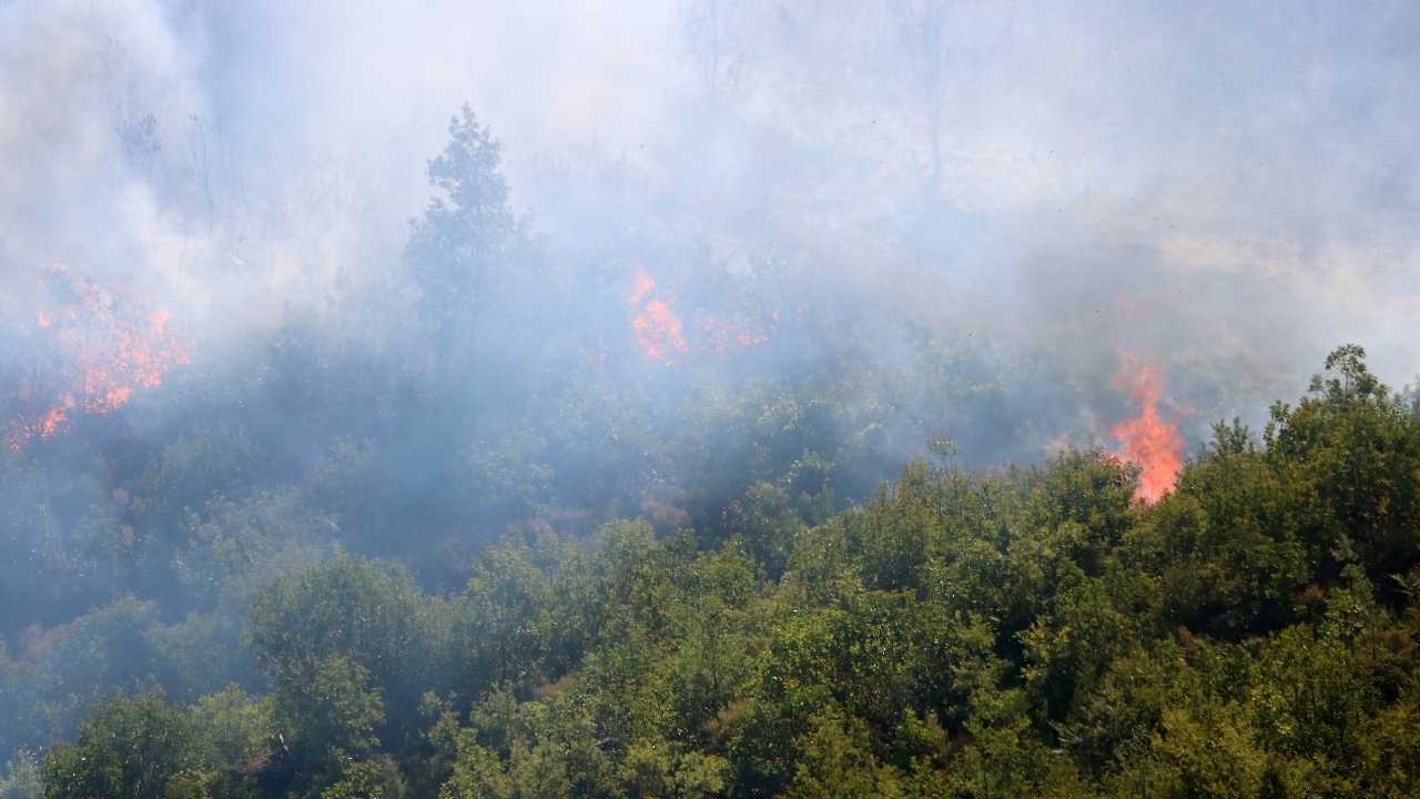 Antalya’da 9 Günde 14 Orman Yangını! 45 Hektar Alan Küle Döndü 2
