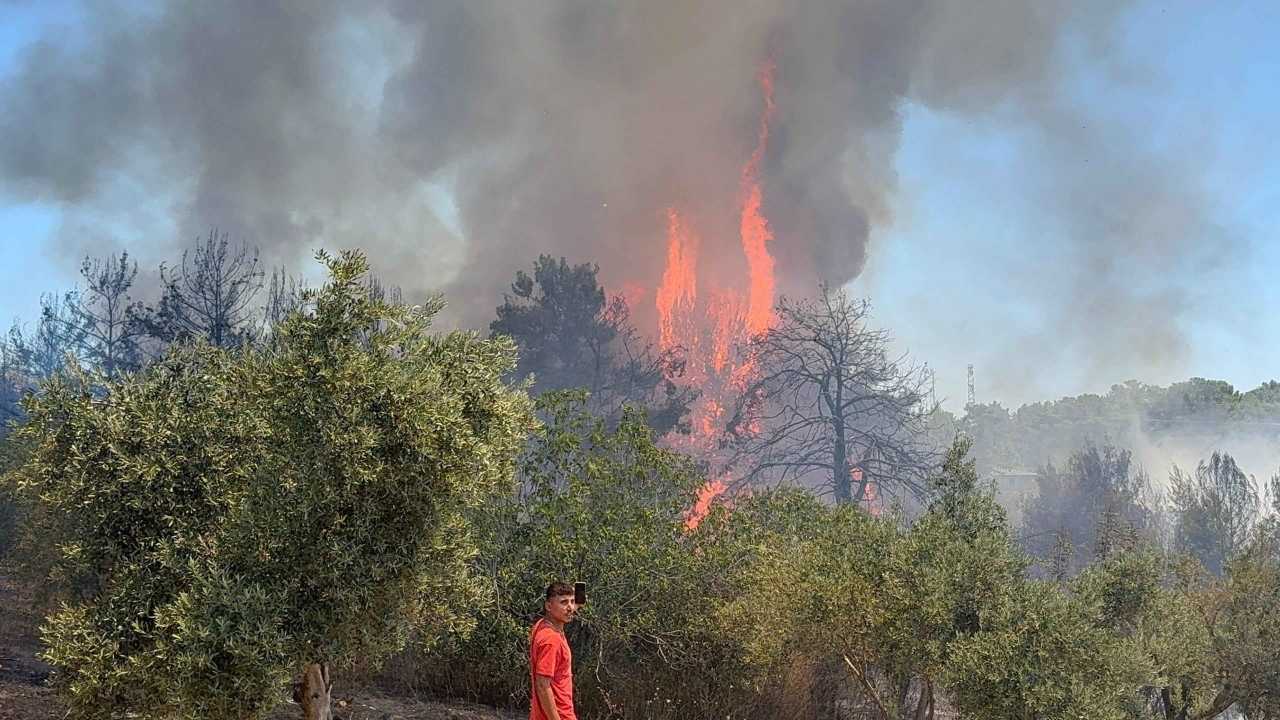 Antalya’da 9 Günde 14 Orman Yangını! 45 Hektar Alan Küle Döndü 6