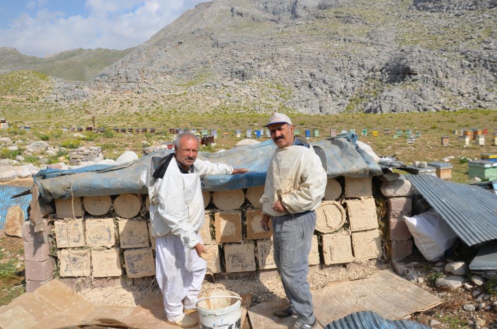 Antalya'da Arıcılar Yaylalarda Kara Kovan Mesaisine Başladı