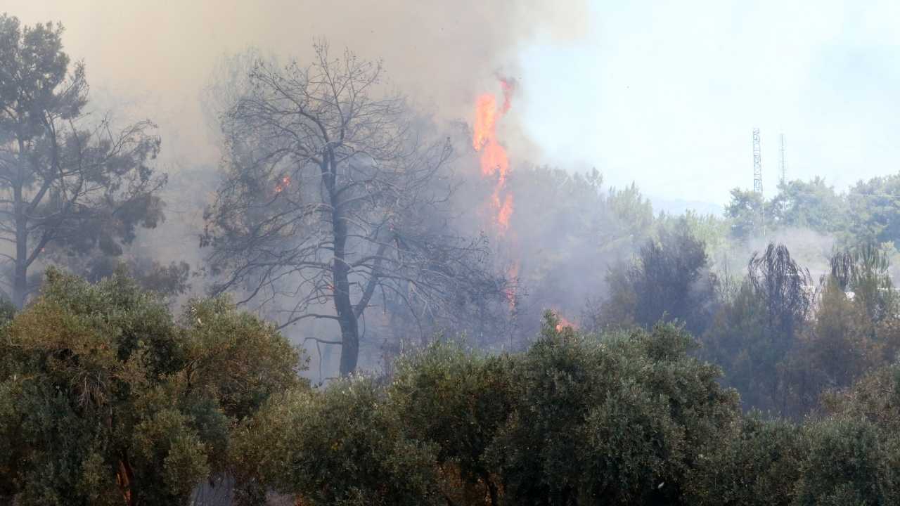 Antalya'da Bir Günde 2 Orman Yangını Önce Gazipaşa Ardından Aksu 4
