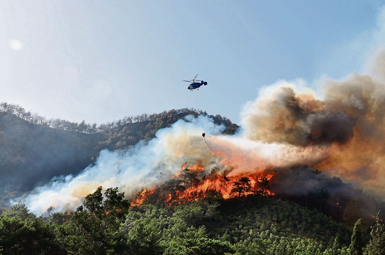 Antalya’da Orman Profesöründen Ciğerimiz Yanmasın Uyarısı!