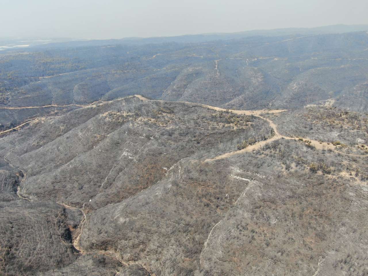 Antalya’da Orman Profesöründen Ciğerimiz Yanmasın Uyarısı!