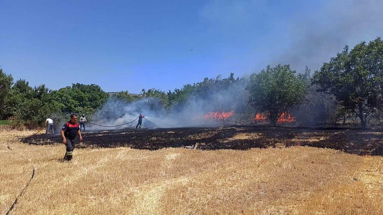 Burdur’da Cam Kırıkları 4 Dönüm Araziyi Kül Etti 2