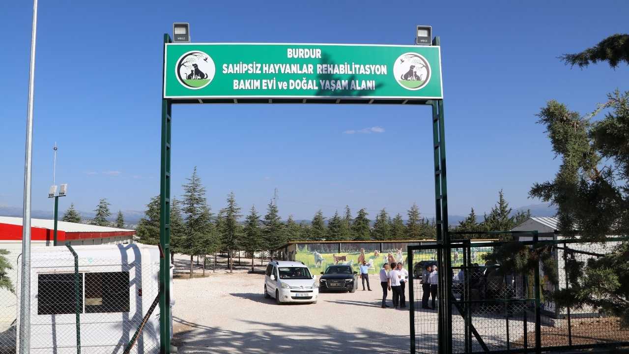 Burdur’da Sokak Hayvanları İçin Dev Yatırım Hayata Geçti 2