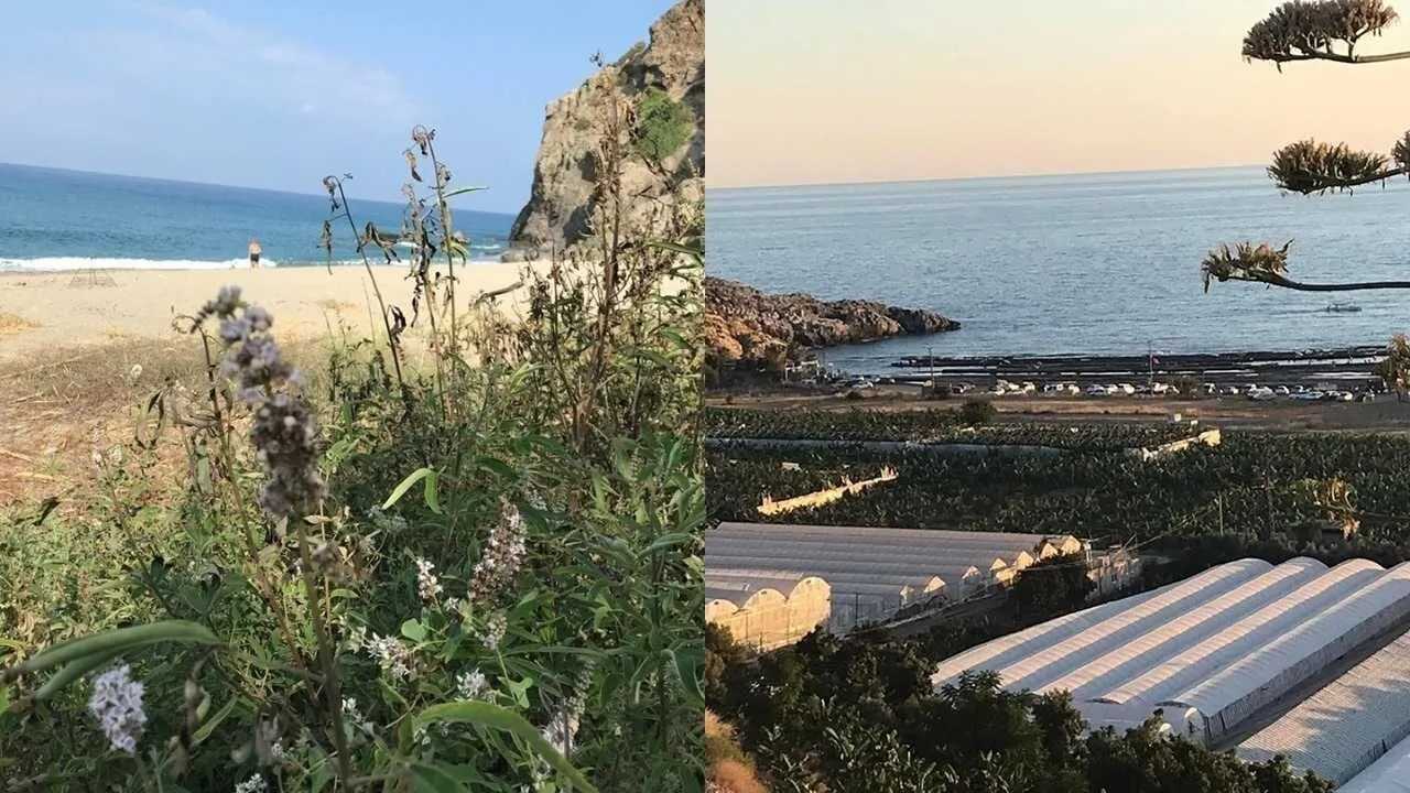 Gazipaşa’da “Çed Gerekli Değildir” Kararının İptali İçin Dava Açıldı3