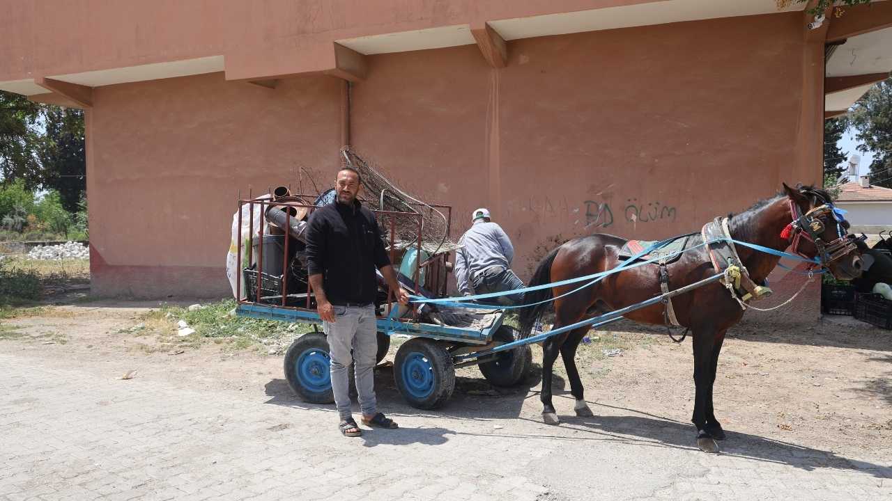 Hatay’da Başıboş At Hızla Duvara Çarpıp Can Verdi 2
