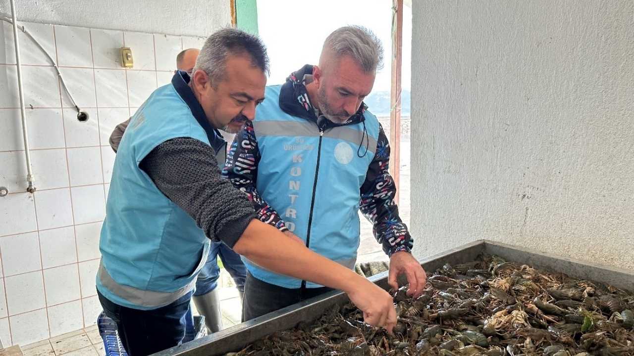 Isparta’da Balık Avı Yasağı Sona Erdi2