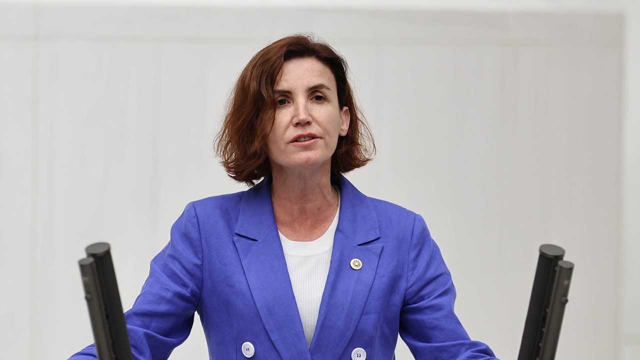 Manavgat Yangını Meclis Gündeminde 75 Bin Hektar Kül Oldu, Ders Alınmadı Aliye Coşar