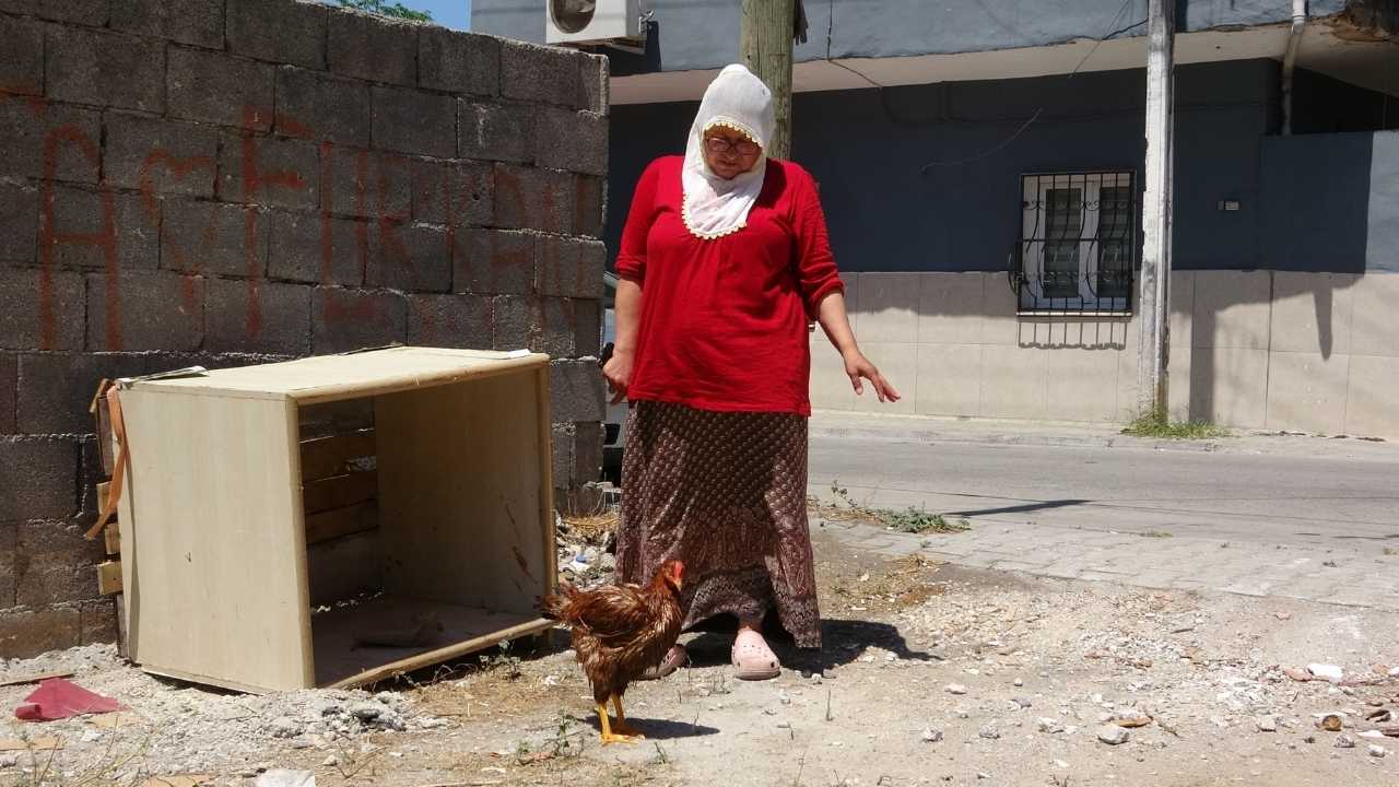 Mersin’de Kesmeye Kıyamadığı Tavuğuna Veteriner Arıyor 2