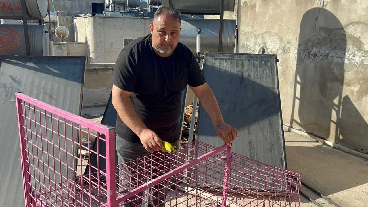 Mersin’de Mahalleli Firari Maymunu Muz Ile Besliyor 2
