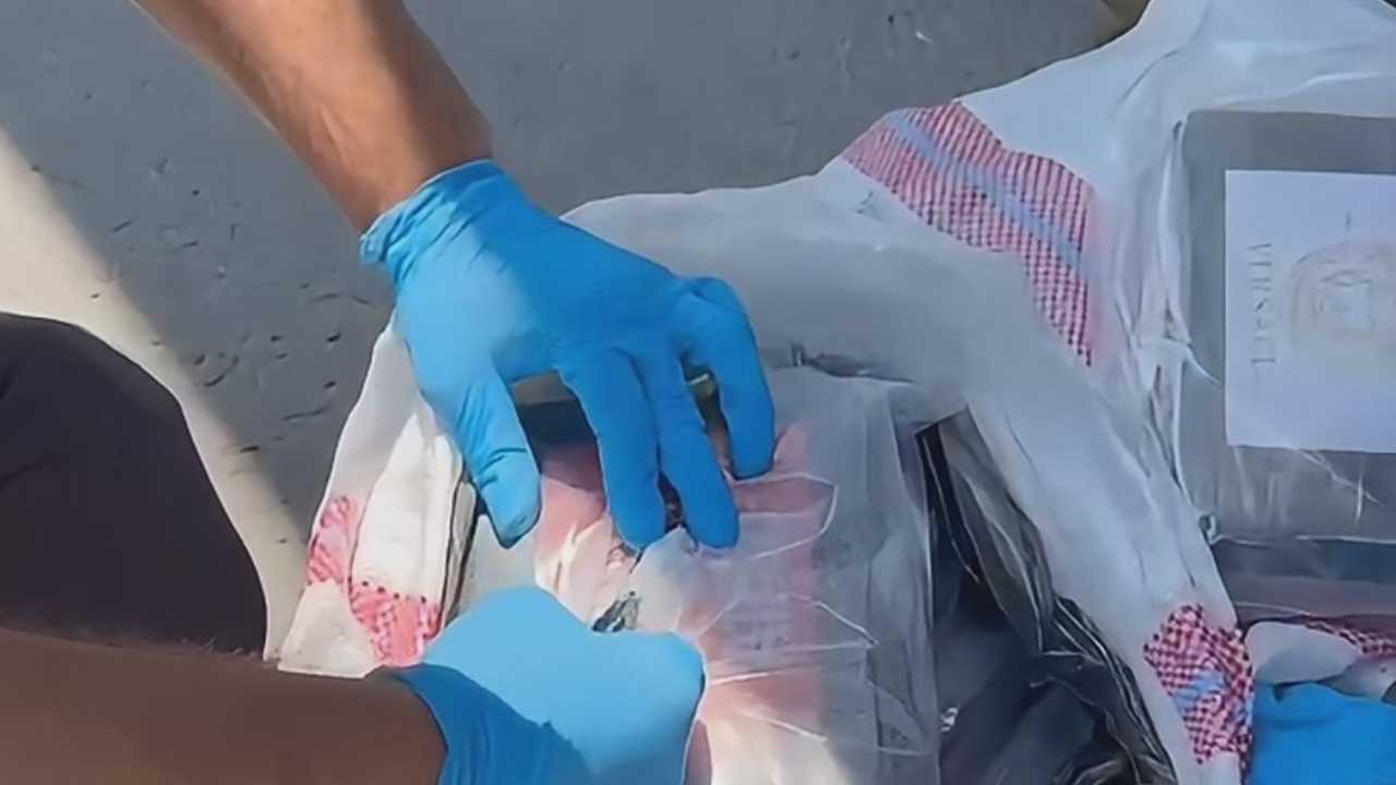 Mersin’den Edirne’ye Uzanan Uy Şturucu Hattı Çökertildi 2