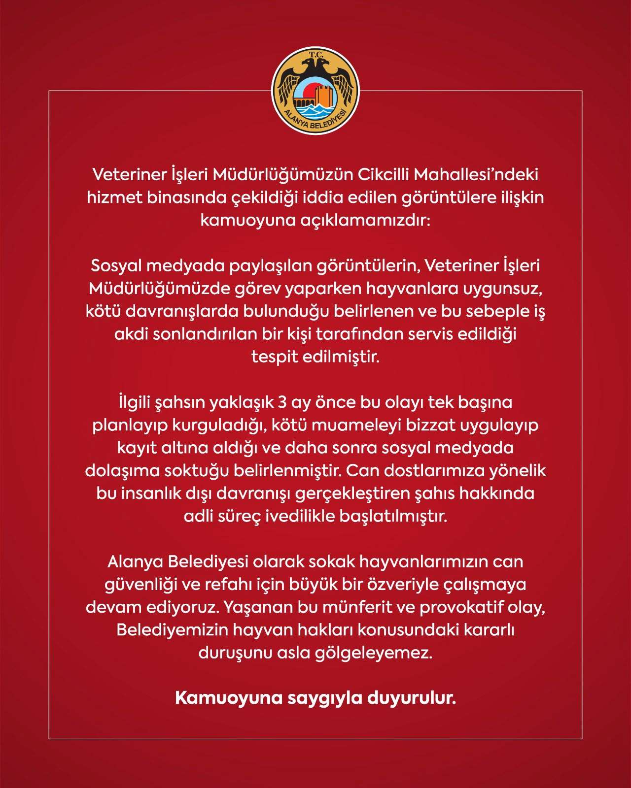 Sokak Hayvanlarına Şiddet Görüntüsüne Alanya Belediyesi'nden Açıklama!