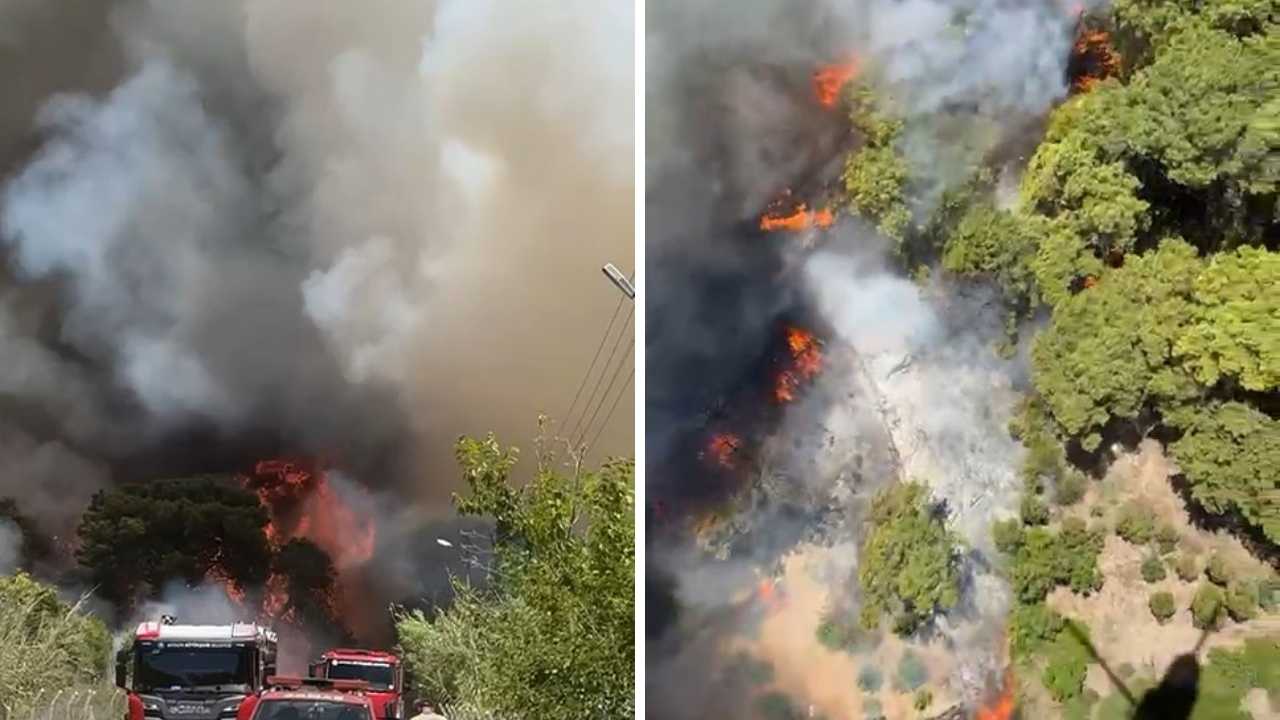 2 Gün Önce De Yanmıştı! Antalya Güzeloba'da 2. Orman Yangını Çıktı 11