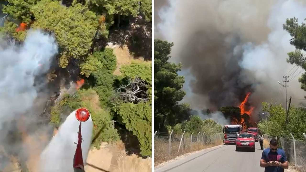 2 Gün Önce De Yanmıştı! Antalya Güzeloba'da 2. Orman Yangını Çıktı 12