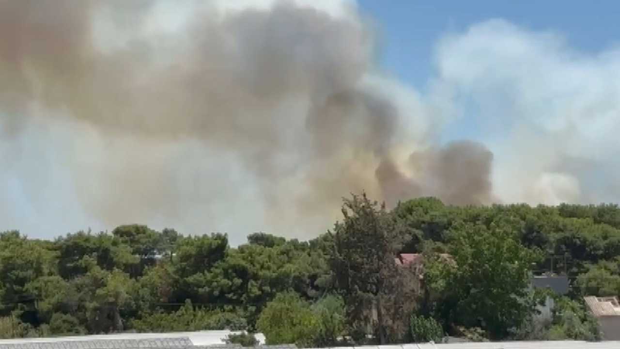 2 Gün Önce De Yanmıştı! Antalya Güzeloba'da 2. Orman Yangını Çıktı 2