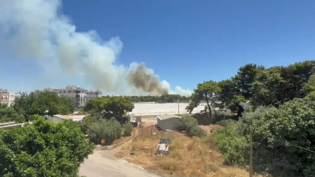 2 Gün Önce De Yanmıştı! Antalya Güzeloba'da 2. Orman Yangını Çıktı 3
