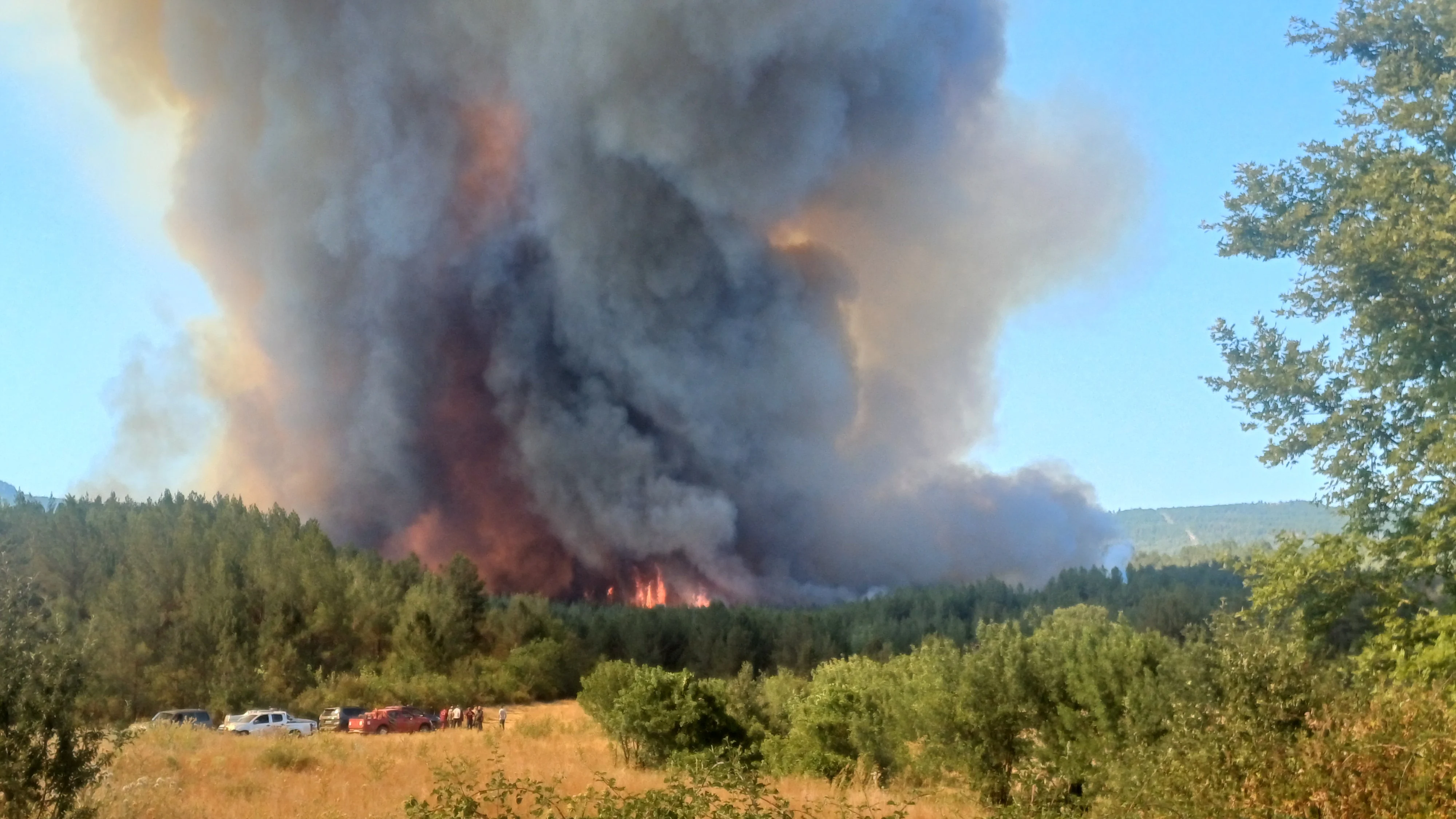 Aa202507233863933638639334Karabukteormanlikalandacikanyanginamudahaleediliyorjpg Yu M Sjnuiu E6Y Zx I7V Ovoq A