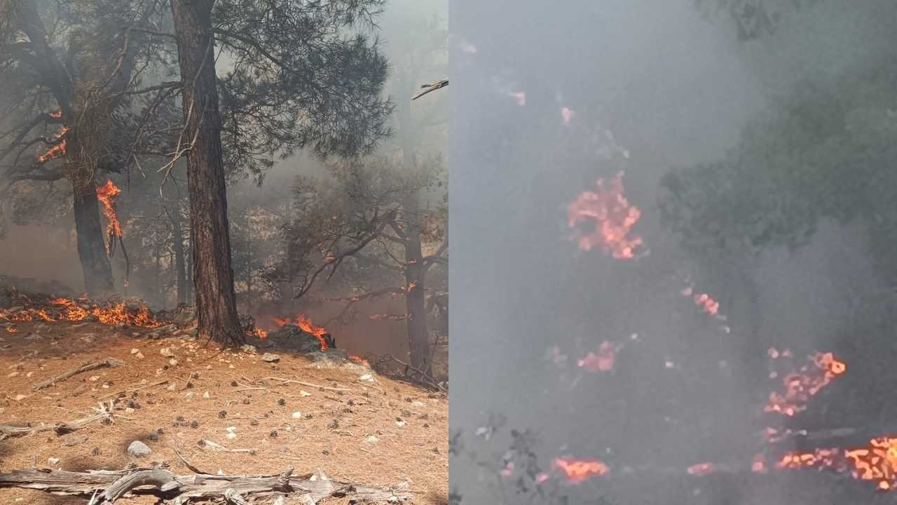 Adana Kozan’daki Orman Yangını Kontrol Altına Alındı 2
