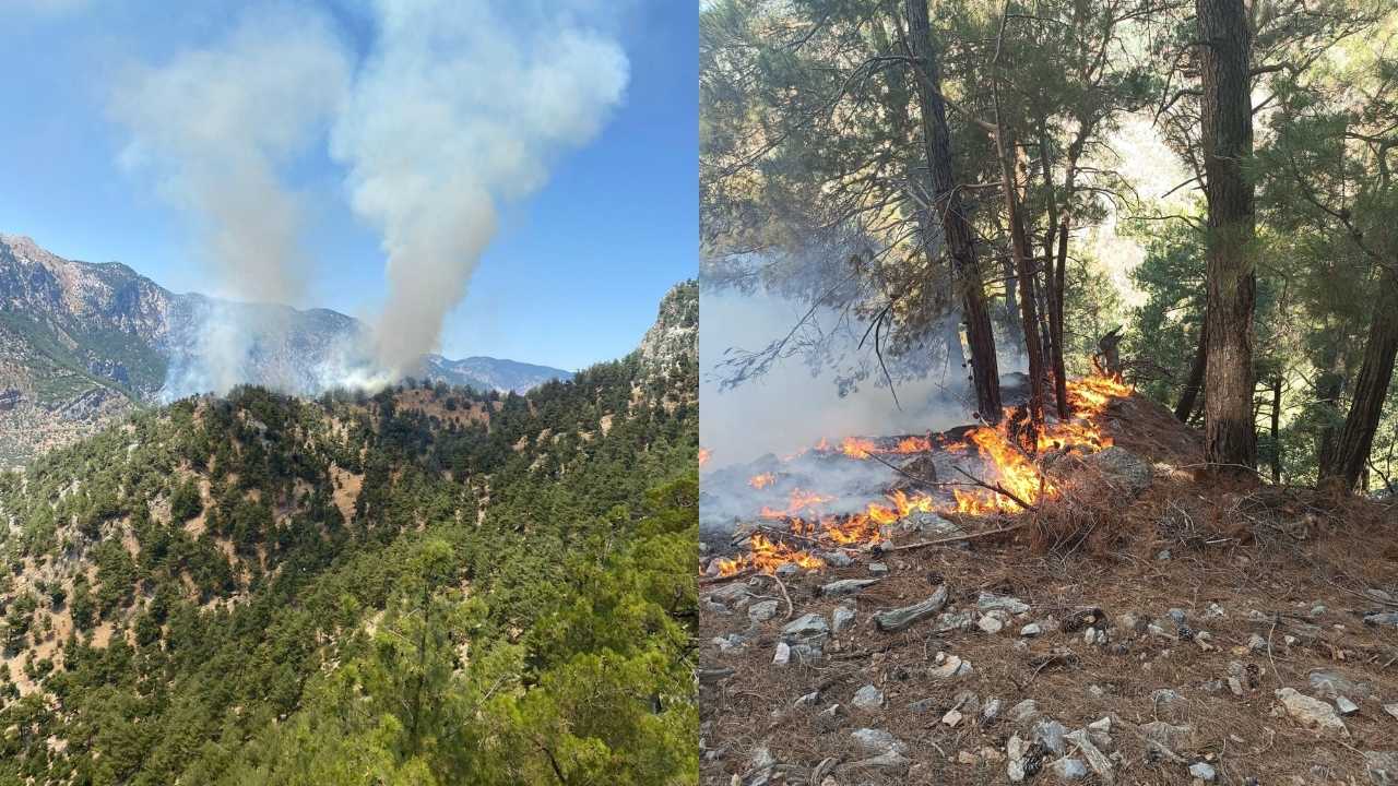 Adana Kozan’daki Orman Yangını Kontrol Altına Alındı 3