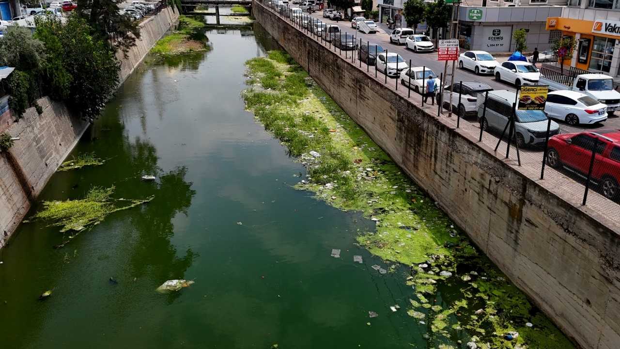 Adana’nın Venedik Hayali Çöplerle Boğuluyor 2