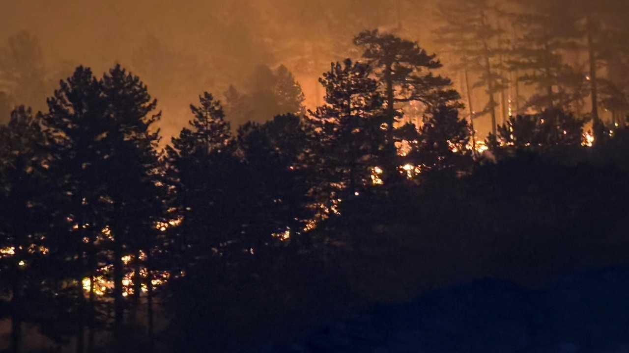 Alanya'da Orman Yangını Kontrol Altında! 40 Hektar Alan Yandı 3