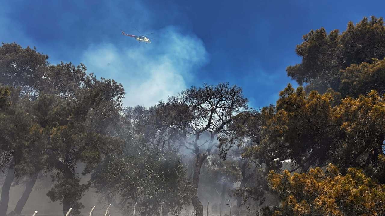 Antalya Ermenek'te Orman Yangını! Alevler Evleri Tehdit Ediyor 12