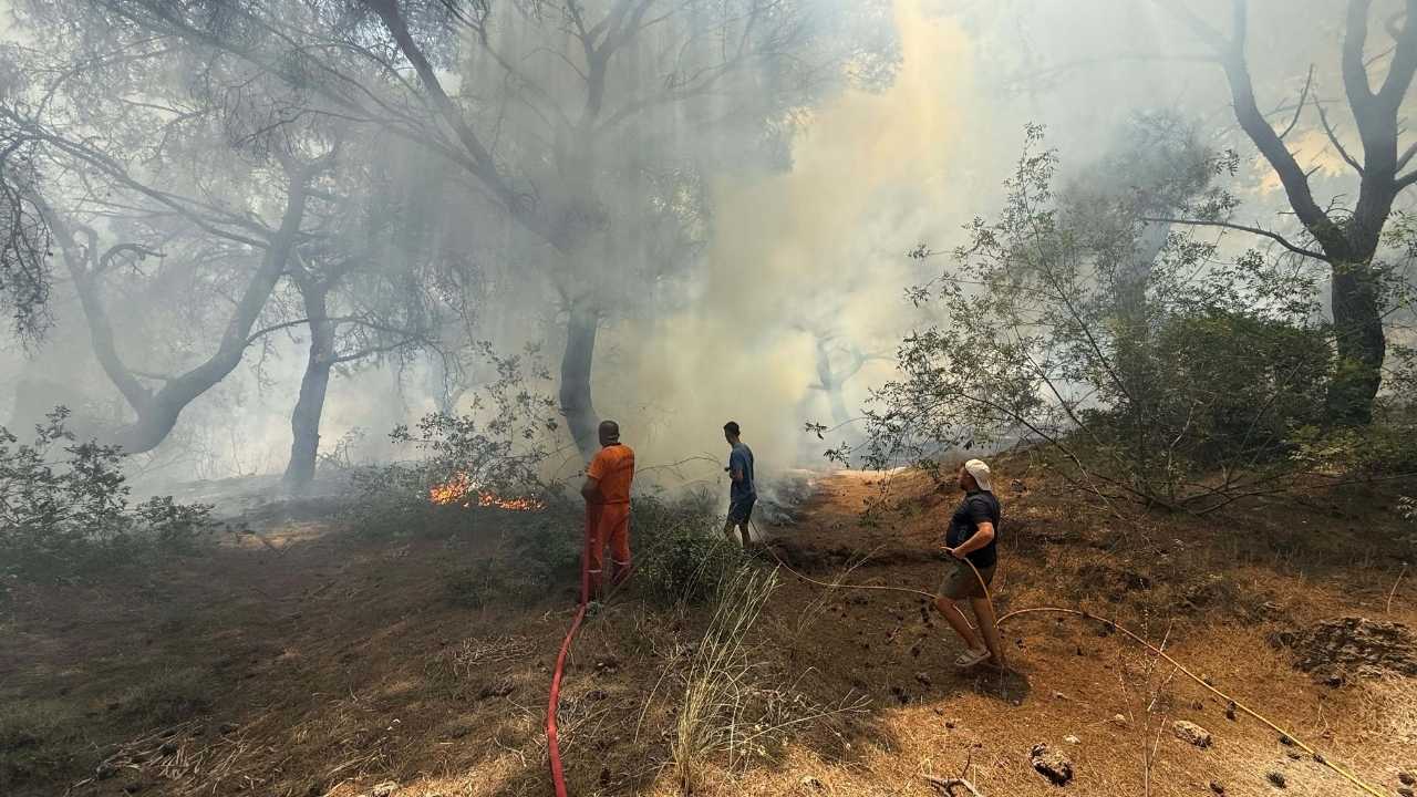 Antalya Ermenek'te Orman Yangını! Alevler Evleri Tehdit Ediyor 22