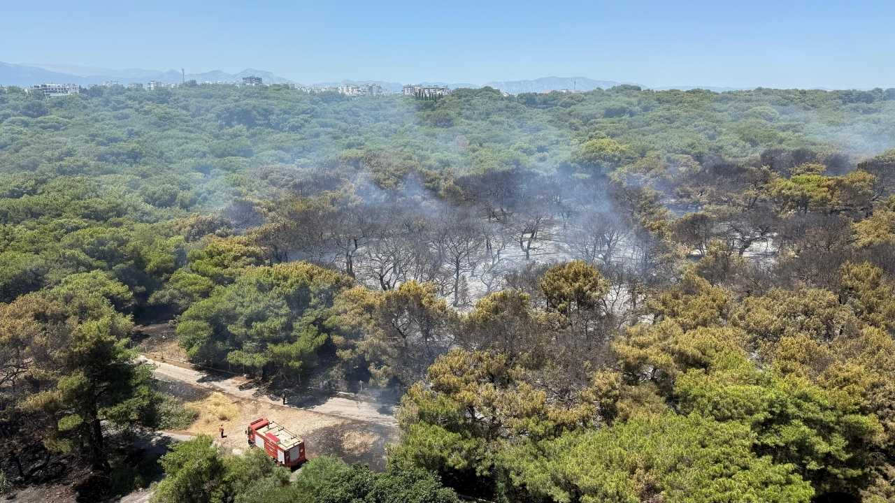 Antalya Ermenek'te Orman Yangını! Alevler Evleri Tehdit Ediyor 31