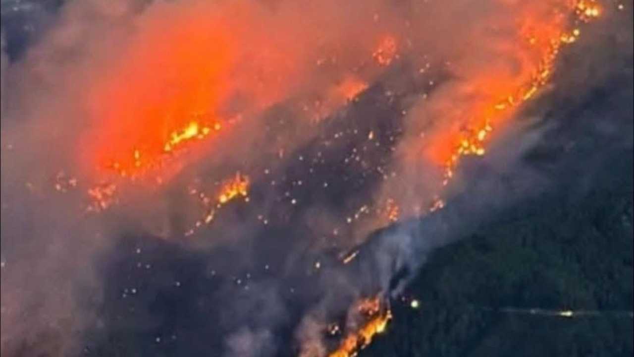 Antalya Gazipaşa’da Yaban Keçileri Yangından Kaçıyor2