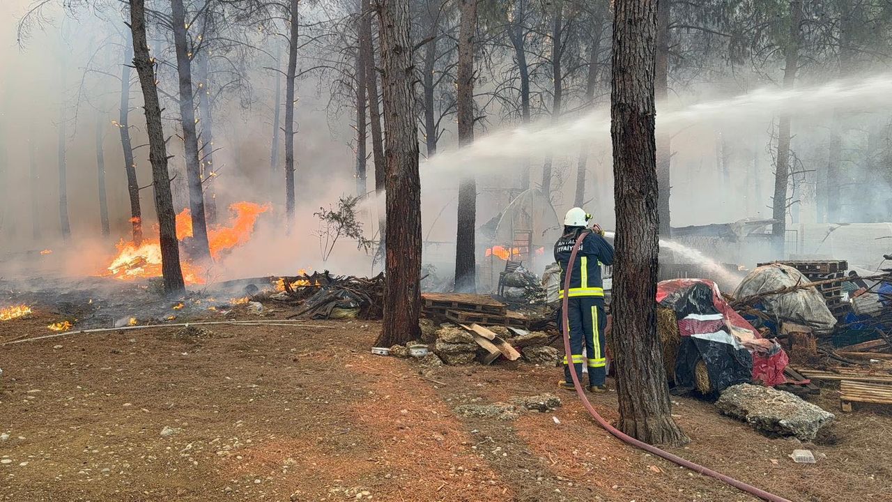 Antalya Kurşunlu Ve Güzeloba'da Orman Yangınları! Aynı Bölge 3. Kez Yanıyor 8