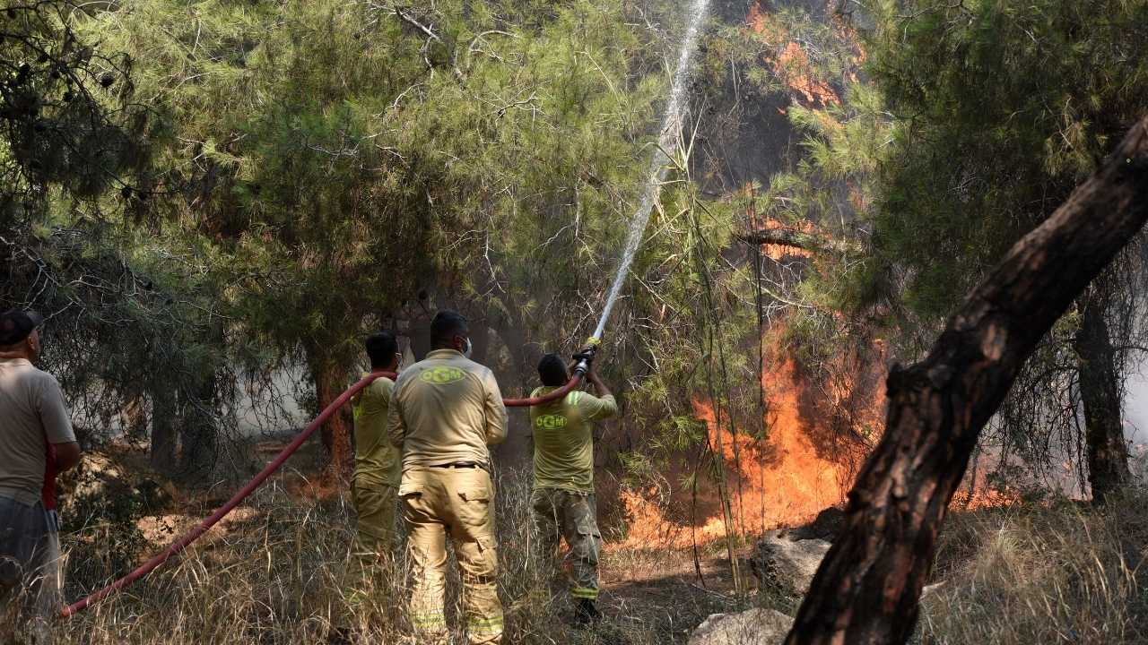 Antalya Yangınlarında Son Durum Aksu, Manavgat, Muratpaşa, Gazipaşa 2