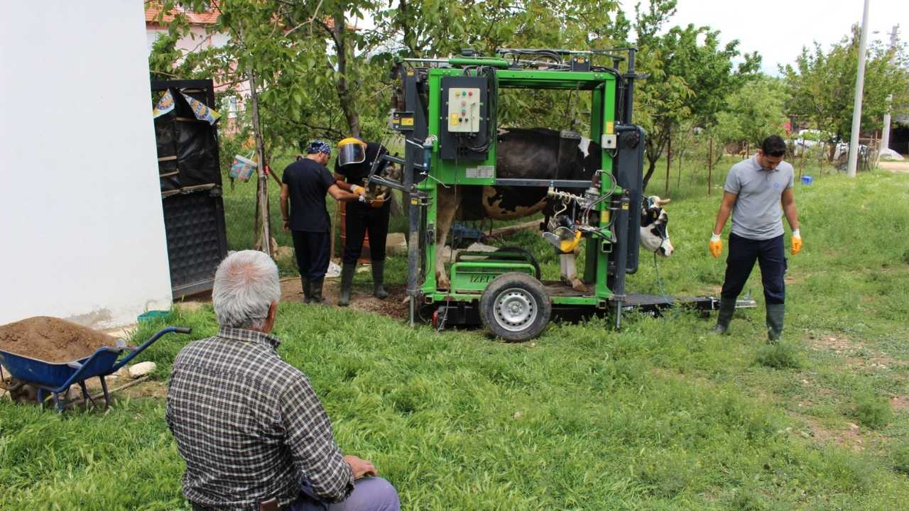 Antalya Yaylalarında Çobanlara Hayvancılık Desteği 3