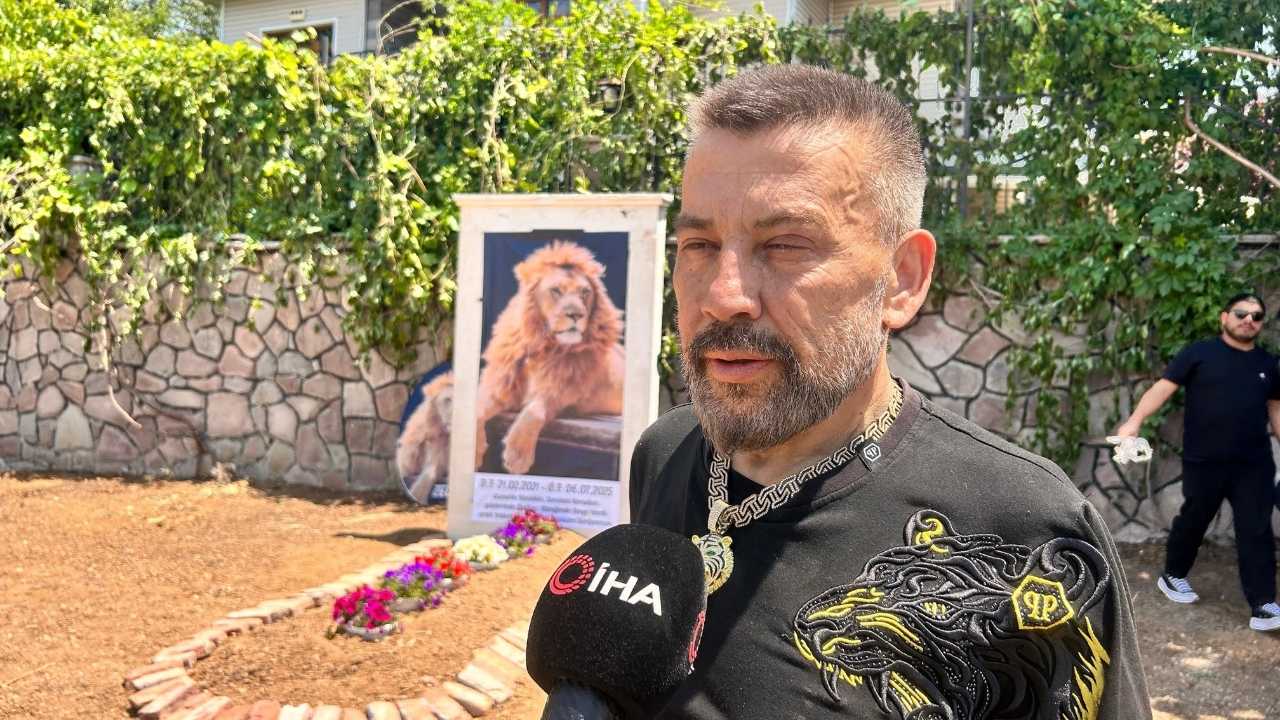 Antalya’da Öldürülen Aslan Zeus'un Sahibinden Veda